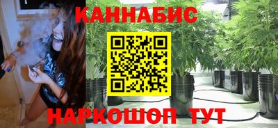 spice Брянск